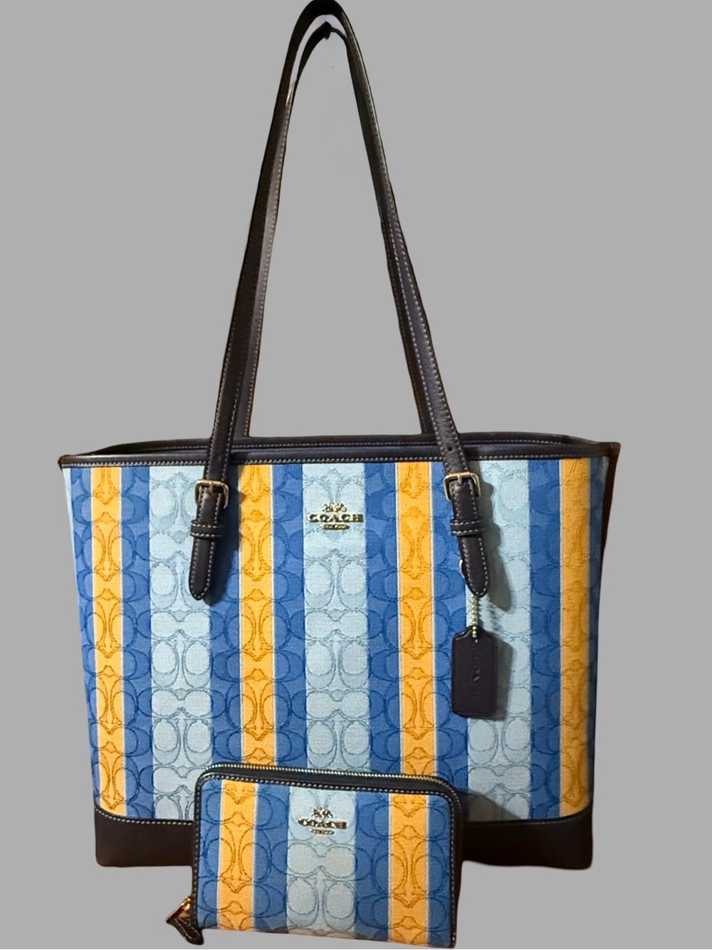 COACH Matching Set: Mollie Tote & Zip Wallet (Signature Jacquard Stripe)